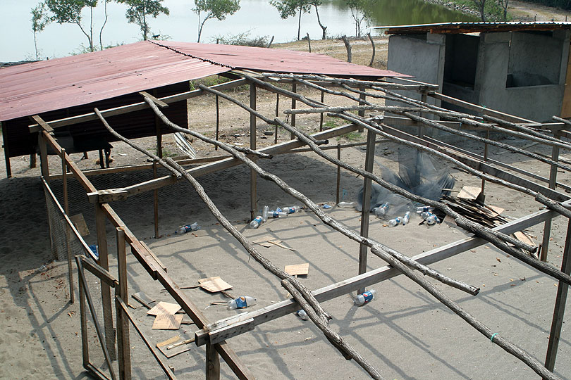 turtle hatchery